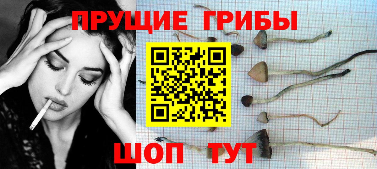 Псилоцибиновые грибы мухоморы Кушва